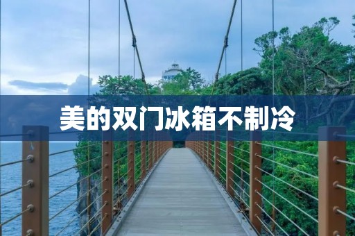 美的双门冰箱不制冷：原因及解决方法