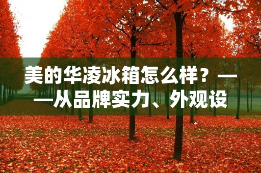 美的华凌冰箱怎么样？——从品牌实力、外观设计、智能科技、性能表现四个方面出发，全方位解析美的华凌冰箱的优劣势。