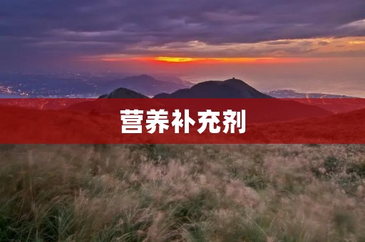 营养补充剂：你身体健康的必需品