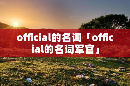 official的名词「official的名词军官」