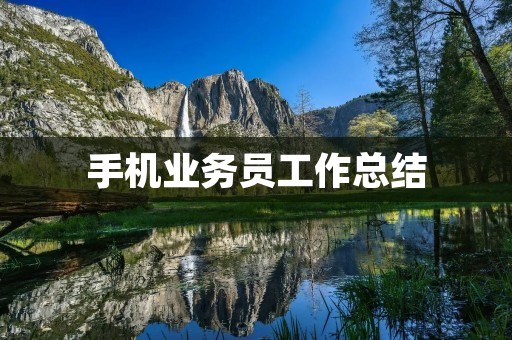 手机业务员工作总结