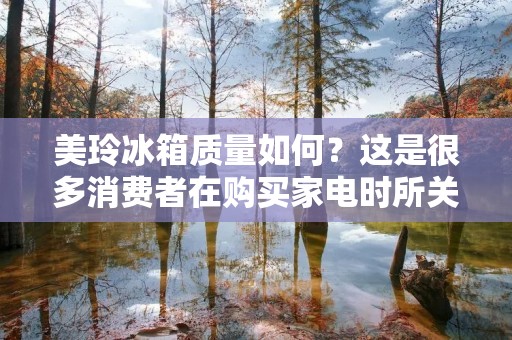 美玲冰箱质量如何？这是很多消费者在购买家电时所关心的问题。美玲是一家知名的家电品牌，其推出的冰箱备受消费者喜爱，那么美玲冰箱质量怎么样呢？接下来我们就来详细探讨一下。