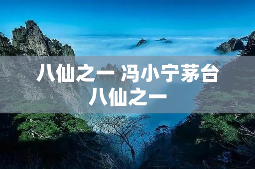 八仙之一 冯小宁茅台八仙之一