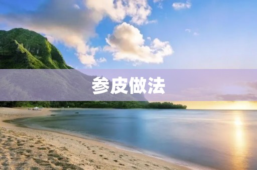 参皮做法:让你轻松掌握的制作技巧 参皮做法:让你轻松掌握的制作技巧