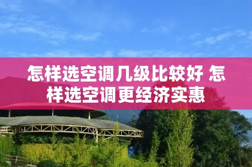 怎样选空调几级比较好 怎样选空调更经济实惠
