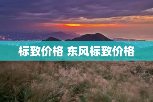 标致价格 东风标致价格