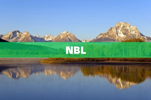 NBL:中国篮球职业联赛 NBL:中国篮球职业联赛