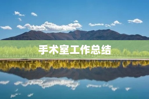 手术室工作总结