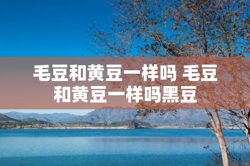 毛豆和黄豆一样吗 毛豆和黄豆一样吗黑豆