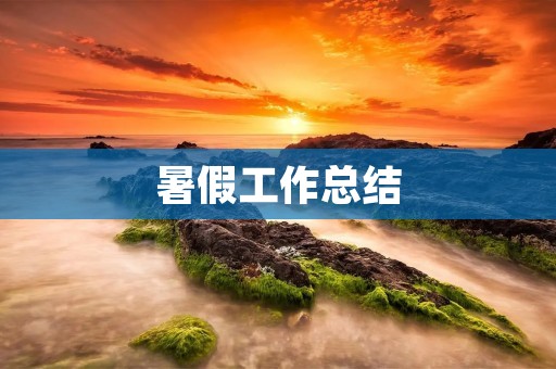暑假工作总结：我在实习中的收获与成长