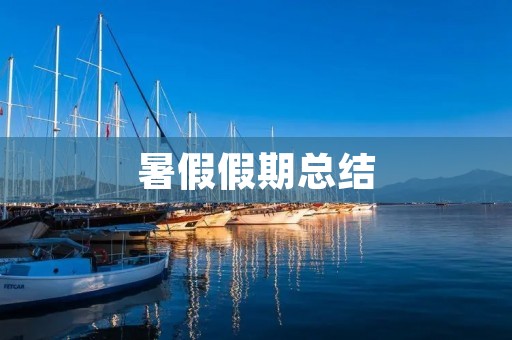 暑假假期总结：一段难忘的成长之旅