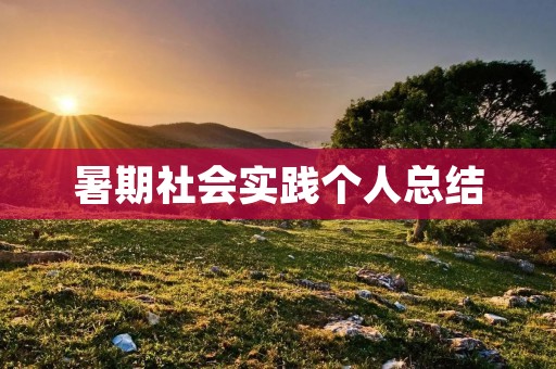 暑期社会实践个人总结