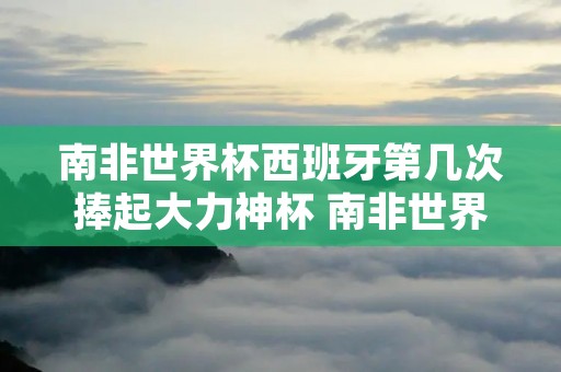 南非世界杯西班牙第几次捧起大力神杯 南非世界杯决赛中西班牙队的首粒进球是谁打进去的