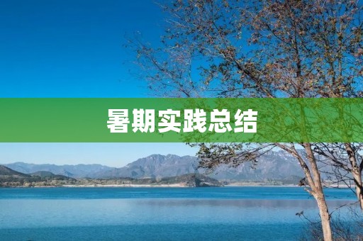 暑期实践总结：我与社会的互动