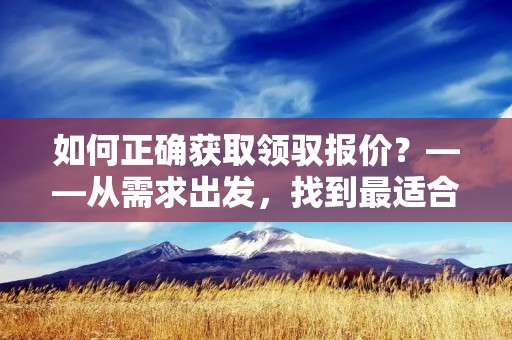如何正确获取领驭报价?——从需求出发,找到最适合自己的方式 如何正确获取领驭报价?——从需求出发,找到最适合自己的方式