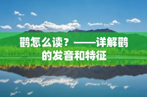 鹳怎么读？——详解鹳的发音和特征
