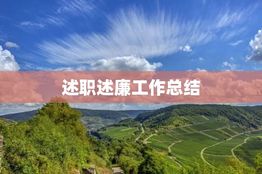 述职述廉工作总结