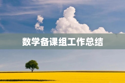 数学备课组工作总结