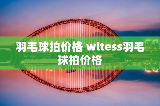 羽毛球拍价格 wltess羽毛球拍价格