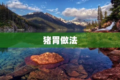 猪胃做法：传统美食的制作方法