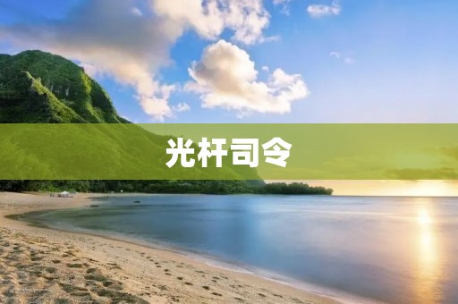 光杆司令：如何成为真正的领袖