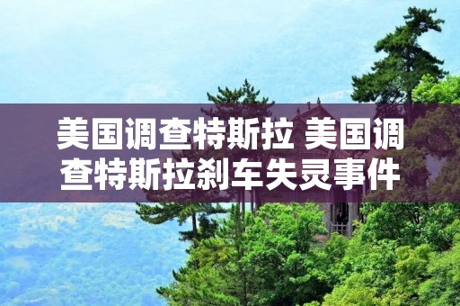 美国调查特斯拉 美国调查特斯拉刹车失灵事件 美国调查特斯拉 美国调查特斯拉刹车失灵事件