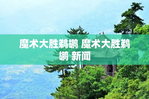 魔术大胜鹈鹕 魔术大胜鹈鹕 新闻