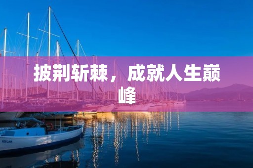 披荆斩棘,成就人生巅峰