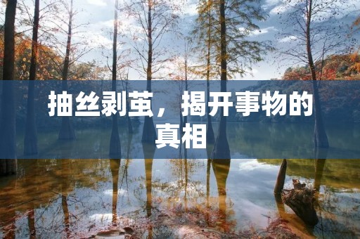 抽丝剥茧,揭开事物的真相