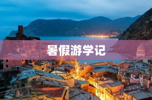 暑假游学记