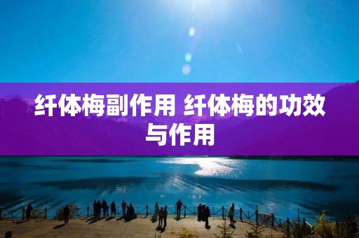 纤体梅副作用 纤体梅的功效与作用