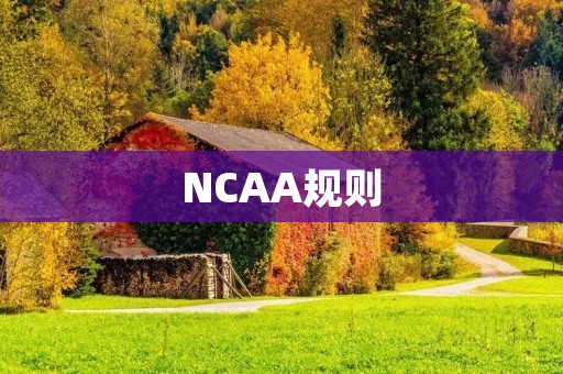 NCAA规则：解析大学体育的运营规则