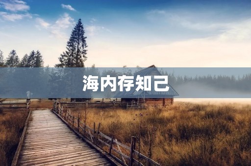 海内存知己:网络时代下的友情