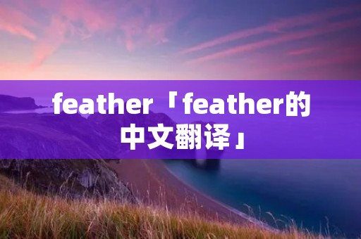 feather「feather的中文翻译」