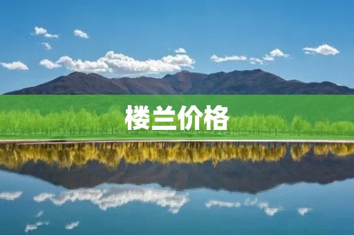 楼兰价格：新能源车的未来之路