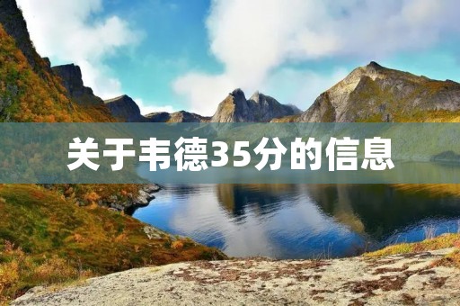 关于韦德35分的信息