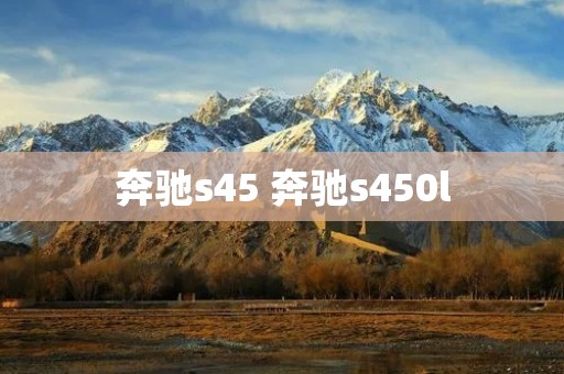 奔驰s45 奔驰s450l 奔驰s45 奔驰s450l