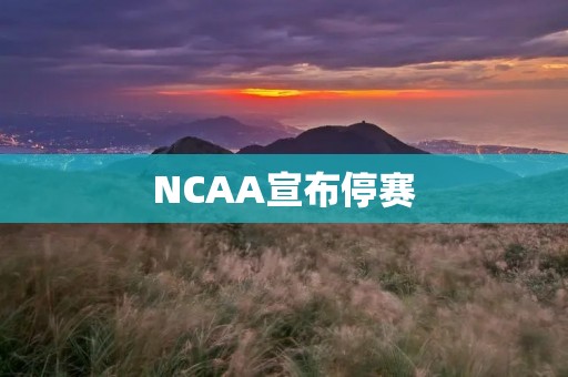 NCAA宣布停赛：大学体育面临的挑战和机遇