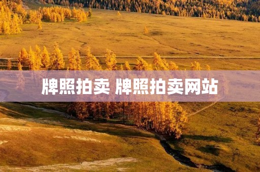 牌照拍卖 牌照拍卖网站