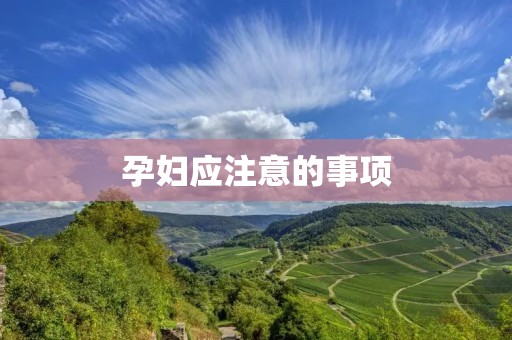 孕妇应注意的事项 孕妇应注意的事项