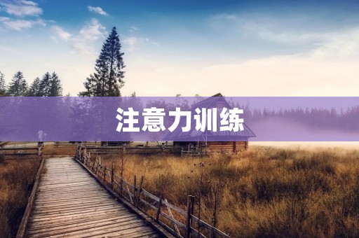 注意力训练：让你成为更加专注的人