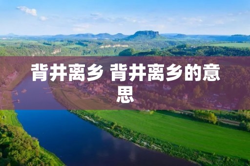 背井离乡 背井离乡的意思