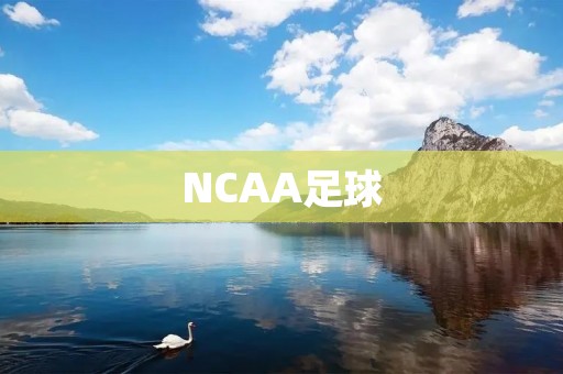 NCAA足球：美国大学校园的精神狂欢