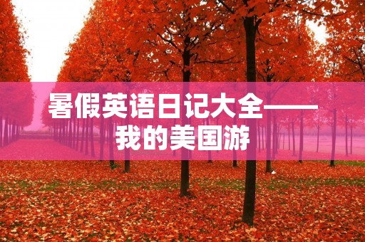 暑假英语日记大全——我的美国游