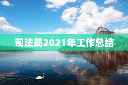 司法局2021年工作总结