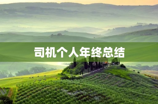 司机个人年终总结:我与路的故事