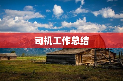 司机工作总结:从驾驶技能到服务态度