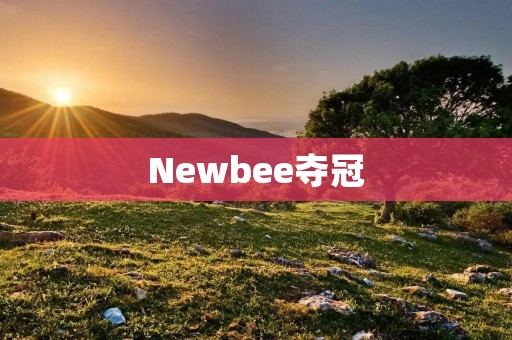 Newbee夺冠：电竞赛场上的巨人