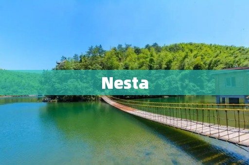 Nesta:推动创新和社会变革的机构 Nesta:推动创新和社会变革的机构