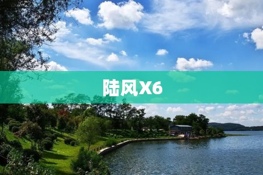 陆风X6：颜值与实力兼备的中型SUV